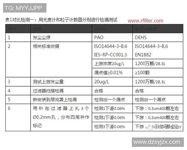 赛后分析：深圳羽毛球队与武汉羽毛球队的团队协作与战术对比探讨